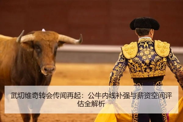 武切维奇转会传闻再起：公牛内线补强与薪资空间评估全解析